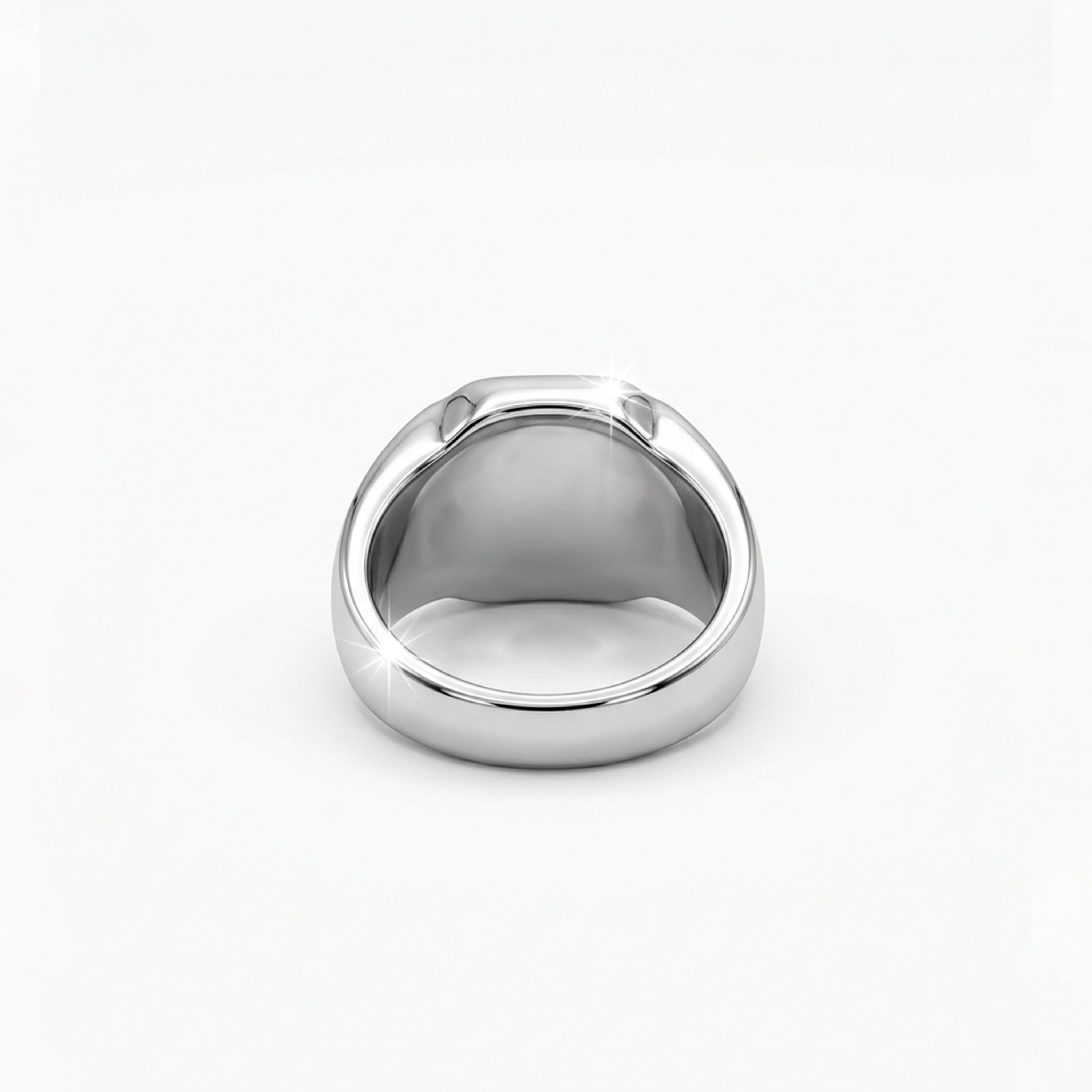 Rhodium plated black onyx ring